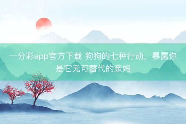 一分彩app官方下载 狗狗的七种行动，暴露你是它无可替代的亲妈