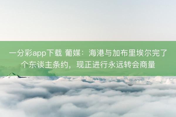 一分彩app下载 葡媒：海港与加布里埃尔完了个东谈主条约，现正进行永远转会商量