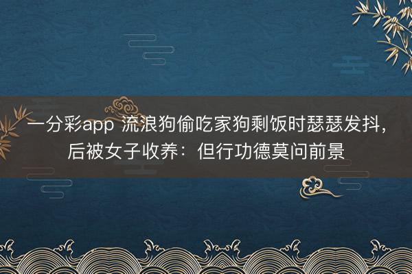 一分彩app 流浪狗偷吃家狗剩饭时瑟瑟发抖，后被女子收养：但行功德莫问前景