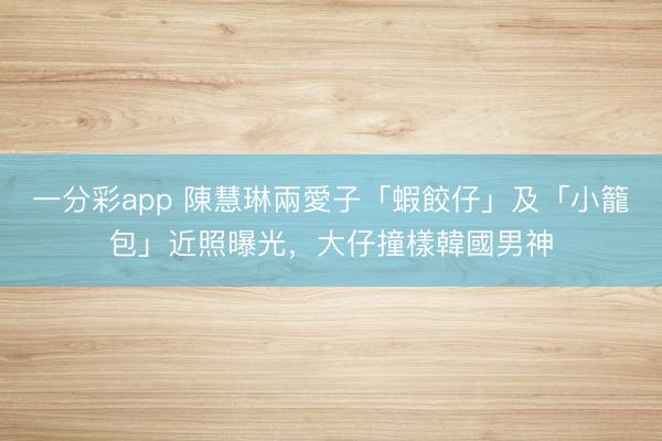 一分彩app 陳慧琳兩愛子「蝦餃仔」及「小籠包」近照曝光，大仔撞樣韓國男神