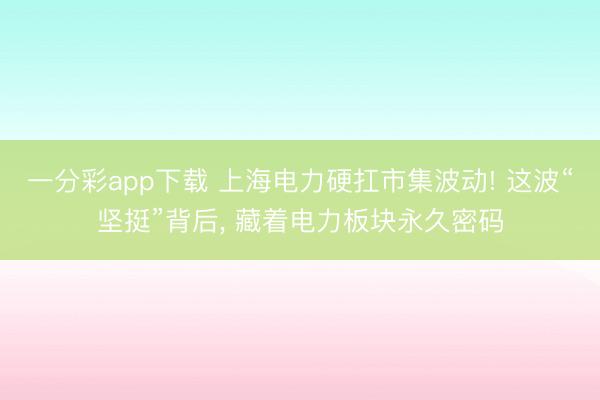 一分彩app下载 上海电力硬扛市集波动! 这波“坚挺”背后, 藏着电力板块永久密码